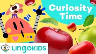 WHERE DO APPLES COME FROM?   Educational Video for Kids | Lingokids