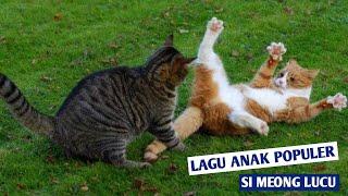 Lagu Anak Populer - Si Meong Kucing Lucu - Funny Kitty Play With Kids