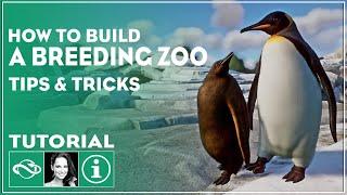 ▶ The Ultimate Guide to Starting a Breeding Zoo in Planet Zoo | Tutorial | Tips & Tricks