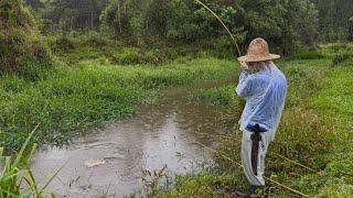 Elas estavam bem no fundão, até fiquei surpreso, pescaria de traíra na chuvarada!!!