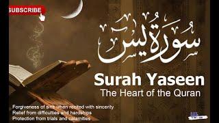 Surah Yaseen | The Heart of the Quran | Powerful Tilawat