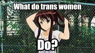 What are trans life's like