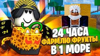  ФАРМЛЮ ФРУКТЫ 24 ЧАСА В 1 МОРЕ В БЛОКС ФРУТС! Blox Fruits Roblox // Роблокс