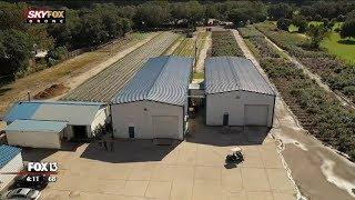 Drone Zone: The view from above Keel and Curley Farms and Winery