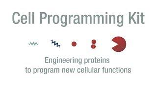 Cell Programming Kit - Elowitz Lab