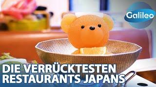 Feuernudeln und Teddy-Onsen: Die verrücktesten Restaurants Japans