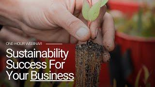 Sustainability Success For Your Business