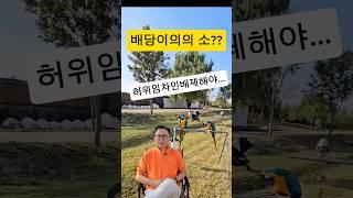 배당이의? #배당 #부동산경매강의 #부동산경매#경제공부 #경매기초#경매초보#부린이 #경린이#입찰#낙찰#shorts