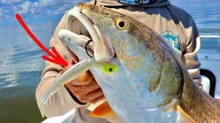 How To Catch Big Redfish on Popping Corks (With Artificial Lures)