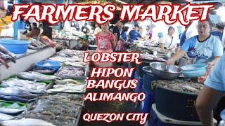 PRESYO NG LOBSTER, HIPON, BANGUS, ALIMANGO AT IBA PANG SEAFOODS FARMERS WET MARKET QUEZON CITY