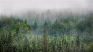 Шум дождя и грозы в лесу Атмосферные успокаивающие звуки для сна и медитации