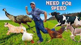 Who's the Fastest Animal on the Farm?  (Educational Farm Video For Kids)