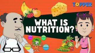 Sources of Food | Nutrition and Nutrients | Class 7th Biology |