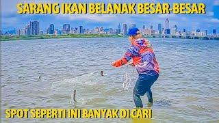 JALA IKAN BELANAK BESAR-BESAR DI MUARA SAAT ANGIN KENCANG