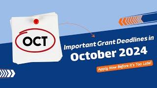 Best Grants to Apply for in October 2024 | Grants 2024 | Apply Now