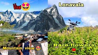 7 saal baad khilne wala fool   Rare Flowers Ambey Vally City Flower || Lonavala vlog