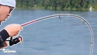 Multi Species SLAM & HUGE MYSTERIOUS FISH while river fishing!