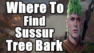 Baldur's Gate 3 -  Where to Find Sussur Tree Bark - Finish the Masterwork Weapon Quest Guide