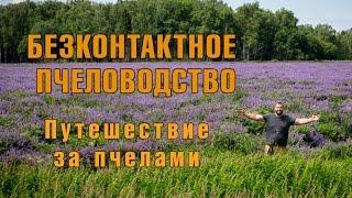 Путешествие за пчёлами. Колодное пчеловодство