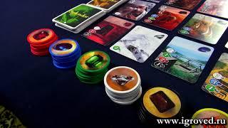 Роскошь (Splendor). Обзор настольной игры от Игроведа.