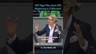 100 Tage Plan der AfD   #politik #bundestag #deutschland #nachrichten