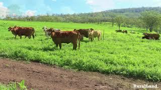 Toowoomba 331 Acres Rural Real Estate For Sale, Grazing, Cultivation Farm. SOLD