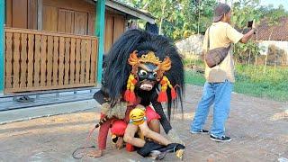 Asli Bikin Ngakak !! Pengejek Ketangkap Barongan Ngamuk Arak arakan Barongan Blora TARUNO ADI JOYO