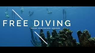 Free Diving | Red Sea Diving Safari
