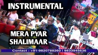 MERA PYAR SHALIMAR-INSTRUMENTAL | KISHORE SODHA | ANUPAM GHATAK | SIDDHARTH ENTERTAINERS