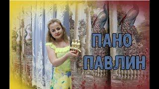 МИР ШТОР! ЗНАМЕНИТЫЙ ПАВЛИН ГОТОВЫЕ КОМПЛЕКТЫ ШТОР!