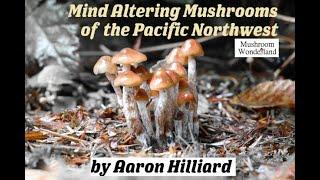 Mind Altering Mushrooms of the Pacific Northwest