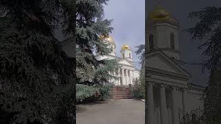 Крым, центр Симферополя,  24.03.25 г. поют птицы.