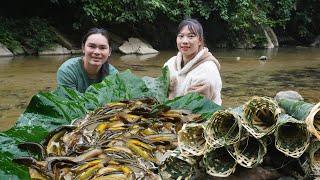 How to trap stream fish with bamboo tubes, peaceful life, SURVIVAL ALONE