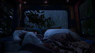 Enjoy the cool autumn rain to sleep well in the van cabin | camping alone on a rainy day | ASMR