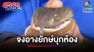 หอบลูกหนีตาย "งูจงอางยักษ์" หนีน้ำท่วมบุกห้องพักแม่ลูกอ่อน | สนามข่าว 7 สี