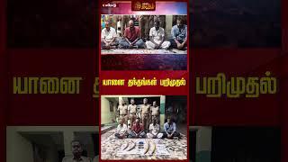 யானை தந்தங்கள் பறிமுதல் | #elephant | #newstamil24x7 | #tamilnews | #shorts