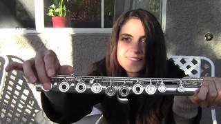 Buying Your First Beginner Flute