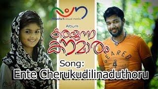 Entecherukudil | Saleem Kodathoo r| Super hit album | Karayunna Kaumaram | Album Mp3\Audio