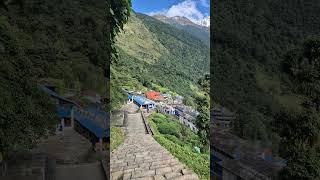 Annapurna Base Camp #annapurnabasecamptrek #hikingadventures #nature #mountains #himalayas