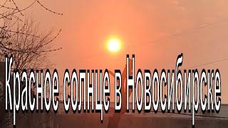 В Новосибирске взошло красное солнце. Восход солнца Новосибирск. Режим чёрного неба.