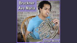 Bruckner: Ave Maria (Arr. for Horn Octet)