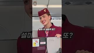 일등석 타보신 분 정말 이런가요?