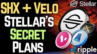 VELO / SHX: STELLAR IS BEATING RIPPLE (CHOSEN ONES) | XLM/XRP