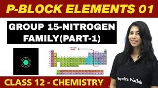 p-Block Elements 01 : Group 15 - Nitrogen Family (Part 1) | Class 12 NCERT