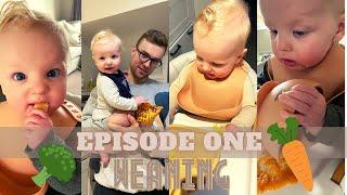 WEAN WITH US | BABY LED WEANING | Episode one