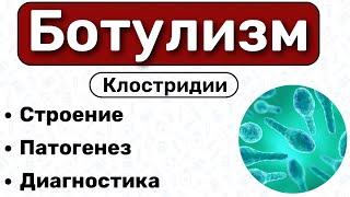 Ботулизм: строение клостридий, симптомы, диагностика, лечение / микробиология