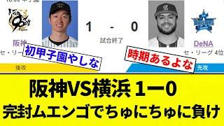 【むえんごや！】阪神VS横浜 1ー0 完封ムエンゴでちゅにちゅに負け【プロ野球反応集】【2chスレ】【なんG】