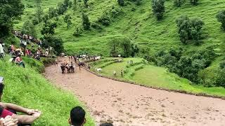 Chotu Mirza Ke Ox Race rajouri #ox #oxrace #rajouri #oxlover  (vedio 06)