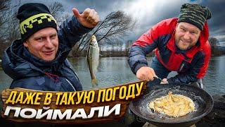 ЭТО ОЧЕНЬ ВКУСНО! Пожарили уклейку прямо на рыбалке
