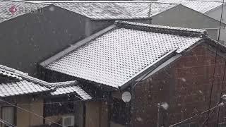 しんしんと雪が降る京都市内　Kyoto city where it snows steadily　持續下雪的京都市